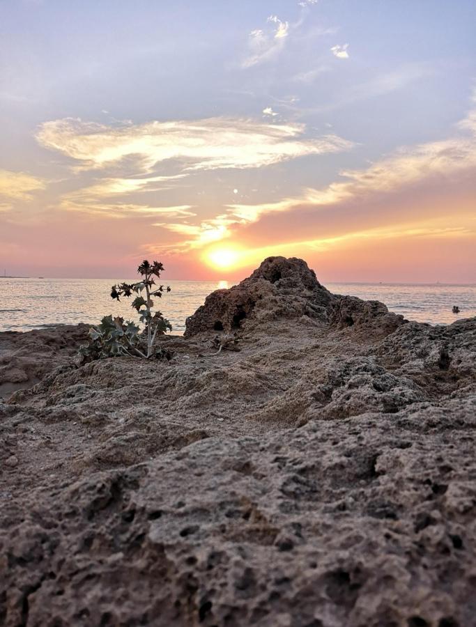 مبيت وإفطار Eccelsoleccese المظهر الخارجي الصورة